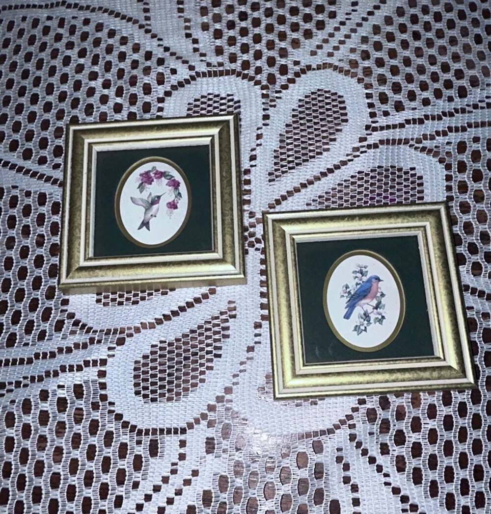 Heartfelt Feathered Friends Framed Art Set: Bluebird & Ruby-throated Hummingbird